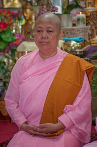 Nuns of Tisarana Vihara, August 2017