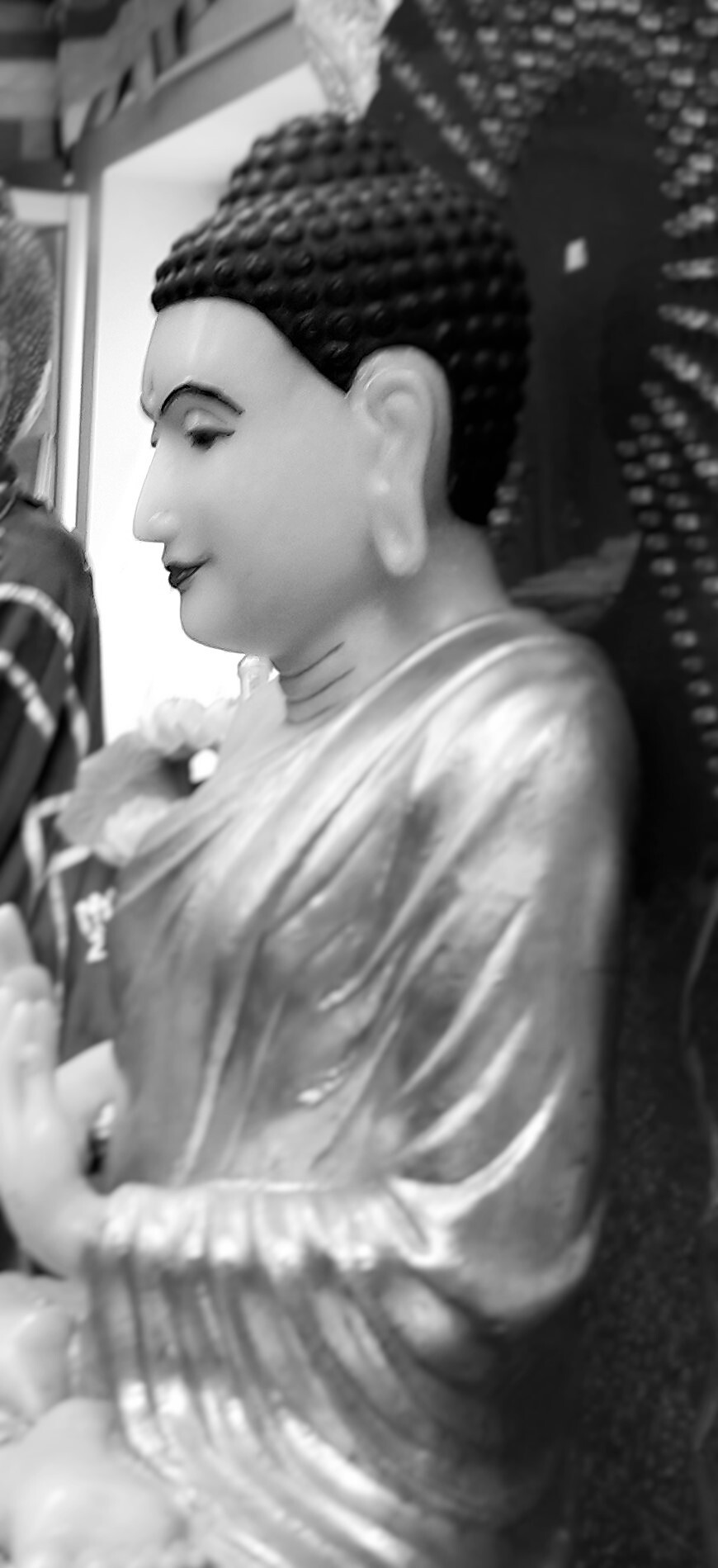 TVA Buddha